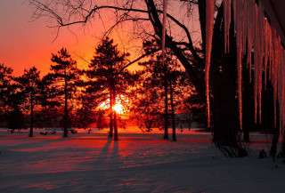 Sunset trees snow person winter - a sunset in the distance free wallpaper for desktop
