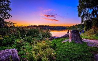 Sunset lake tree stump people - a sunset over a lake free wallpaper