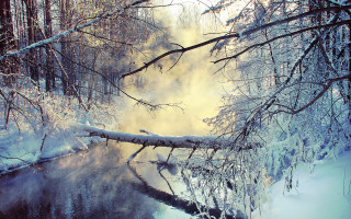 Snowy river forest winter archip - a river free wallpaper