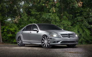 Silver car forest parking night - a forest of trees and bushes free wallpaper