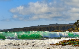 Large wave beach forest sky - a large wave free wallpaper