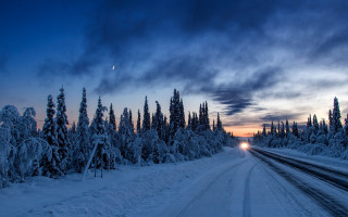 Snowy road trees moon night - eric deschamps free wallpaper