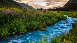 Lush forest stream mountains impressionist - flower and trees free wallpaper