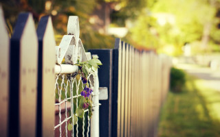 Fence flower street house shallow - a house in the background free wallpaper for desktop