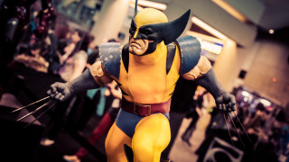 Wolverine man room multiple people - marvel comic free wallpaper