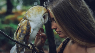 Woman bird forest profile realistic - a branch in a forest free wallpaper