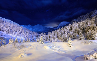 Snowy mountain trees night starry - snow free wallpaper
