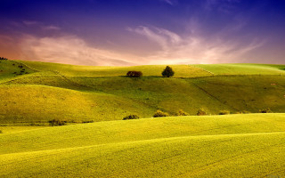 Green field trees clouds sunset 3 - landscape free wallpaper for desktop