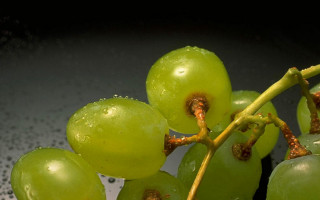 Grapes blackbowl water greenstem photorealism - focus free wallpaper