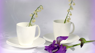 Purple flower white cup saucer - a white plate free wallpaper