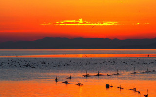 Sunset water birds mountains beach - bascove free wallpaper for desktop