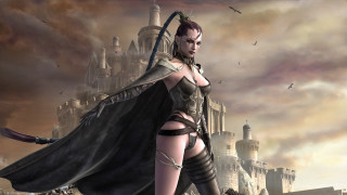 Woman costume sword castle bird - overhead in the sky free wallpaper