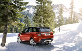 Red rover snowy woods bush - a snowy road free wallpaper