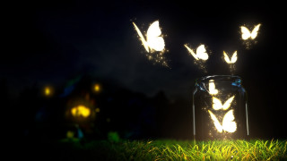 Glowing butterflies jar night grass - a jar free wallpaper