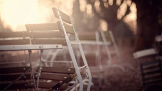 Empty chairs row grass trees - empty free wallpaper for desktop