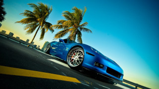 Blue sports car palm trees - rich vivid color free wallpaper
