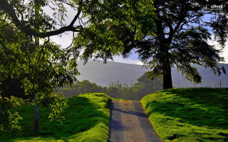 Adahillwalker landscape trees mountain park - tree and grass free wallpaper