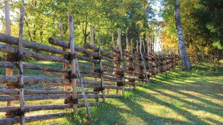 Fence logs barbedwire autumn landart - blunt border free wallpaper