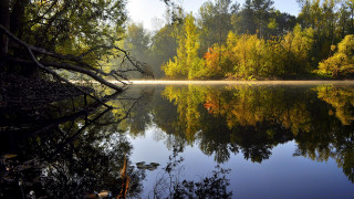Lake fog reflections autumn fireworks - reflection free wallpaper for desktop
