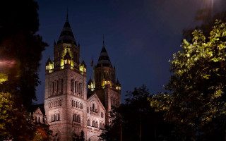 Cathedral night trees streetlamp matte - a street light in the foreground free wallpaper