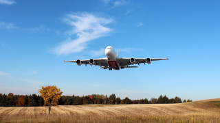 Jetliner blue sky field trees - a tree in the foreground free wallpaper for desktop