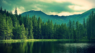 Lake forest mountains cloudy sky 4 - tree and mountains under a cloudy sky free wallpaper