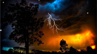 Lightning bolt sky tree field - dramatic lightning free wallpaper for desktop