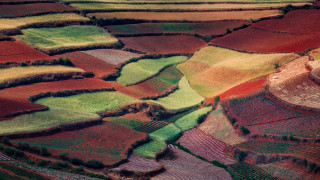 Field building birdseye saturated puzzle - choi buk free wallpaper
