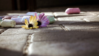 Flower sidewalk rocks candybar pastel - candy free wallpaper