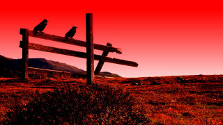 Red sky birds fence mountain - a red sky free wallpaper