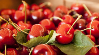 Cherries leaves bowl table blurry - a bunch of cherries free wallpaper