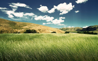 Grassy field mountains blue sky - a grassy field free wallpaper