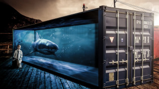 Shark container hologram damienhirst urban - side and a man free wallpaper