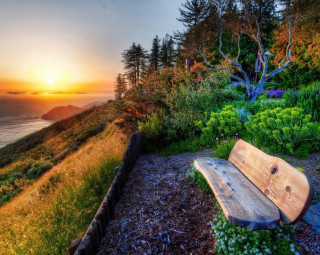 Bench hillside ocean sunset sunrise - a lush green hillside next free wallpaper
