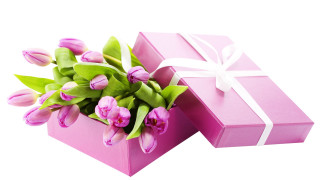 Pink box flower bouquet white - a white ribbon free wallpaper
