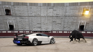 Bull car parking lot building - the wall free wallpaper for desktop