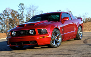 Red mustang wooded road autumn - a red mustang mustang free wallpaper