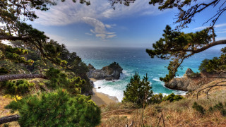 Scenic ocean cliff beach pine - scenic free wallpaper