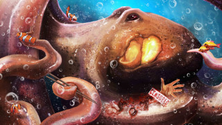 Giant octopus man bubble coral - octopus free wallpaper