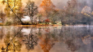 Lake foggy forest autumn reflections - a foggy lake free wallpaper
