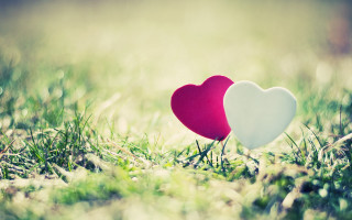 Two hearts grass sunlight love - two heart free wallpaper