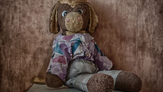 Stuffed dog shirt table wall - toy free wallpaper