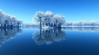 Lake trees snowy shore blue - a lake free wallpaper for desktop