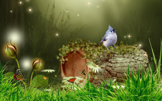 Blue bird rock grass butterflies - the rock free wallpaper