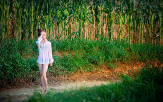 Woman cornfield white shirt barefoot - chen yifei free wallpaper
