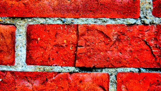 Brick wall autumn leaves macro - alberto burri free wallpaper