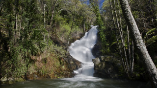 Waterfall forest stream trees blue - a stream running free wallpaper