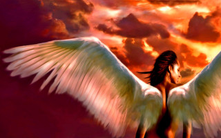 Angel wings sunset horse fire - a sunset sky free wallpaper for desktop