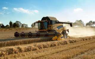 Harvested wheat field blue sky - heavy free wallpaper