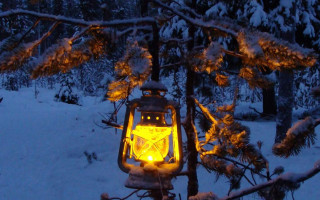 Lantern lit snowy forest night - a snowy background free wallpaper